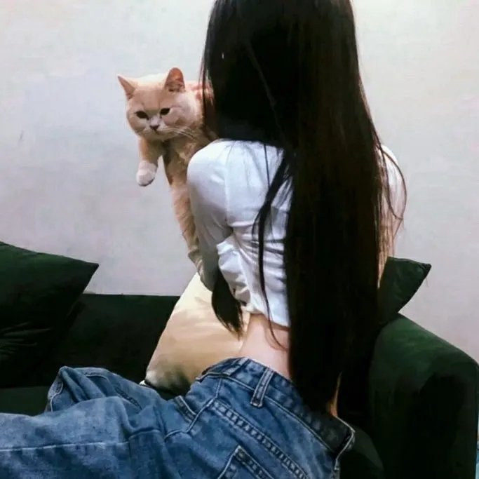天才猫奴画家